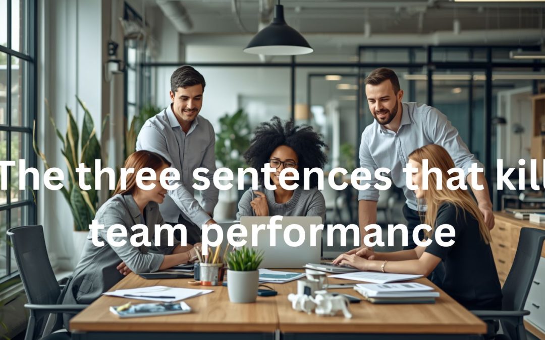 team performance leadership language
